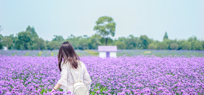 灵魂深处的共鸣:解读INFJ的深情密码
