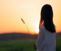 揭秘MBTI心理测评工具:了解自我、提升职业和人际关系的有效途径