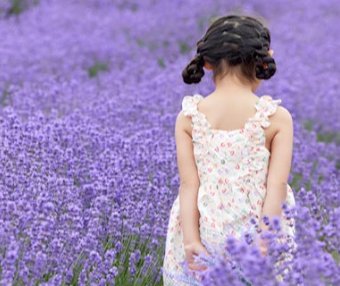 旅行MBTI:探索世界的不同方式