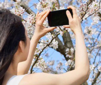 ENTJ的暗面：探索人格类型的阴暗面