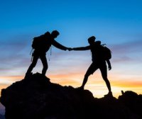 INTJ性格特质、罕见性、职业偏好及MBTI性格稀有度排行