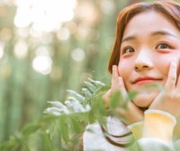 当16种人格类型去旅游 | SJ组