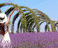 拒绝背叛的INFP:别用你的不在意,摧毁她们的世界