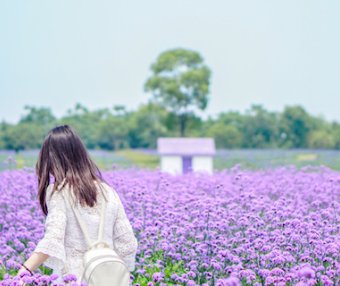 灵魂深处的共鸣：解读INFJ的深情密码
