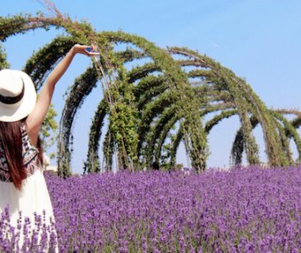 拒绝背叛的INFP:别用你的不在意,摧毁她们的世界