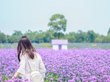 灵魂深处的共鸣:解读INFJ的深情密码