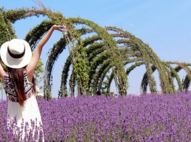 拒绝背叛的INFP:别用你的不在意,摧毁她们的世界